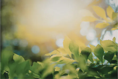 Young woman experiencing life-changing mental health transformation through safe, supportive therapy space