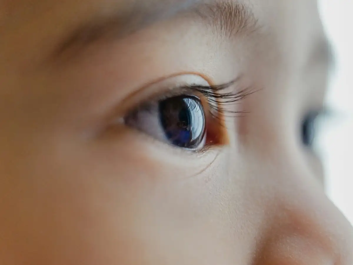 Close-up of a child's focused expression