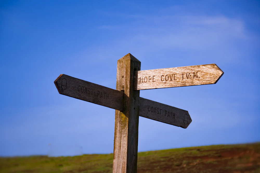 A wooden signpost pointing in different directions, representing the choice between full no-contact and limited contact