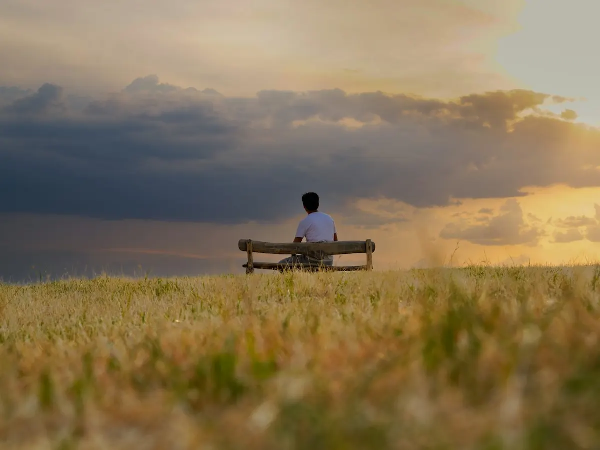 A person sitting alone on a bench in an open field at dusk