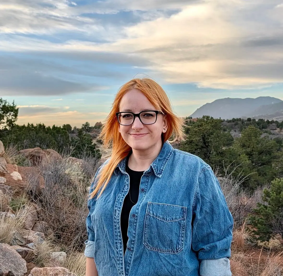 Robyn Stail: Licensed Professional Counselor Candidate at Ventoutt